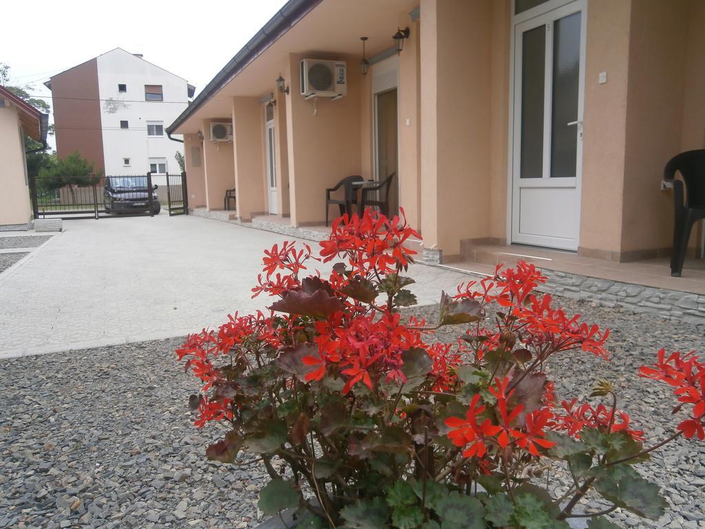 Apartments Svetlica Backi Petrovac Exterior foto